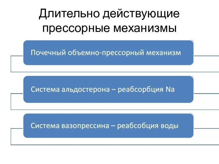 Длительно действующие прессорные механизмы