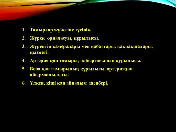 Тамырлар жүйесіне түсінік. Жүрек орналасуы, құрылысы. Жүректің камералары мен қабаттары,