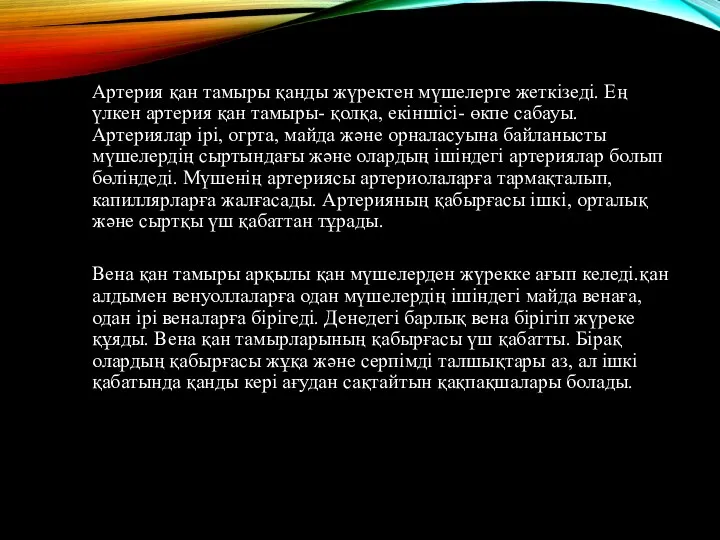 Артерия қан тамыры қанды жүректен мүшелерге жеткізеді. Ең үлкен артерия