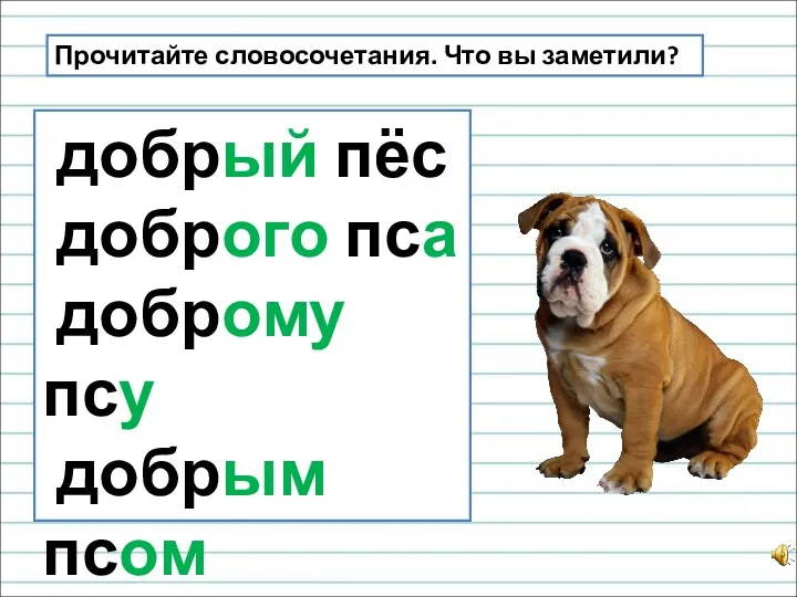 Прочитайте словосочетания. Что вы заметили? добрый пёс доброго пса доброму псу добрым псом о добром псе