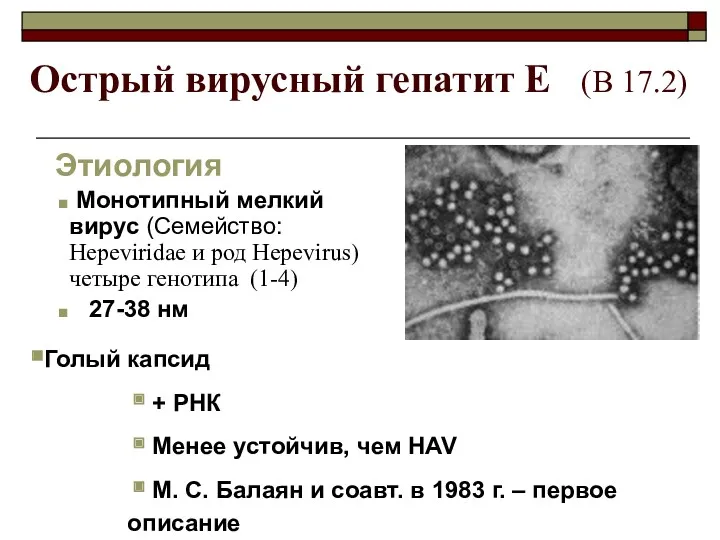 Острый вирусный гепатит Е (В 17.2) Этиология Монотипный мелкий вирус