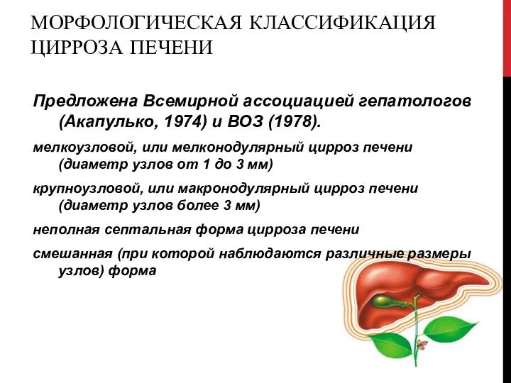 МОРФОЛОГИЧЕСКАЯ КЛАССИФИКАЦИЯ ЦИРРОЗА ПЕЧЕНИ Предложена Всемирной ассоциацией гепатологов (Акапулько, 1974) и ВОЗ (1978).