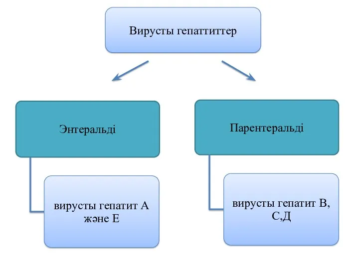 Вирусты гепаттиттер