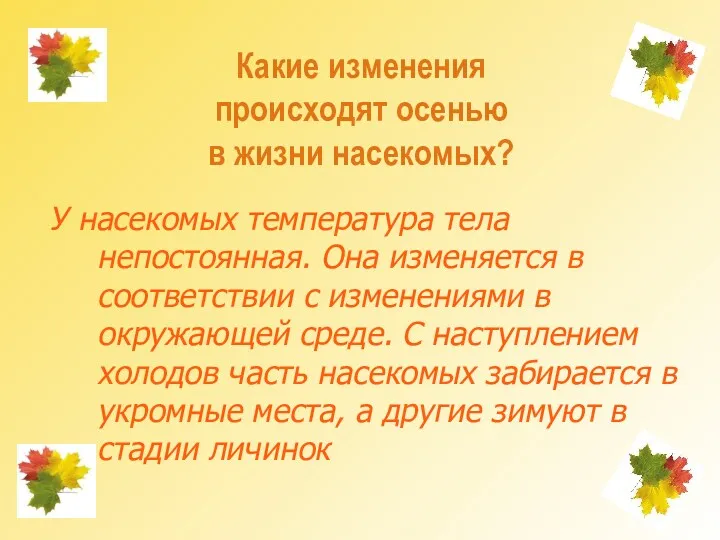 Какие изменения происходят осенью в жизни насекомых? У насекомых температура тела непостоянная. Она