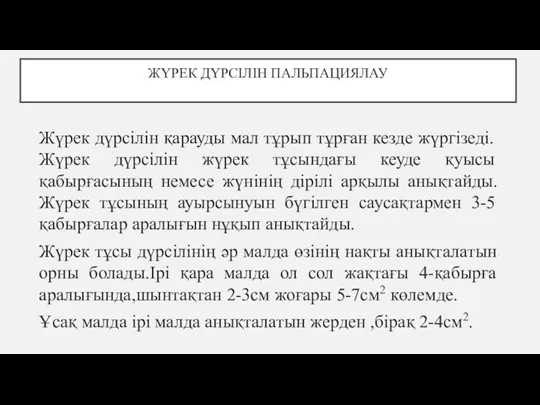 ЖҮРЕК ДҮРСІЛІН ПАЛЬПАЦИЯЛАУ Жүрек дүрсілін қарауды мал тұрып тұрған кезде