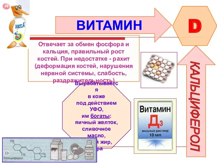 ВИТАМИН D КАЛЬЦИФЕРОЛ Отвечает за обмен фосфора и кальция, правильный