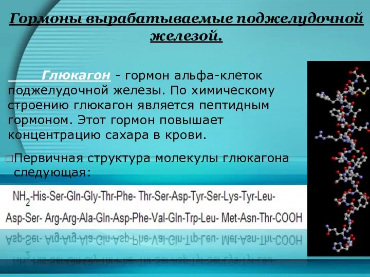 Гормоны вырабатываемые поджелудочной железой. Глюкагон - гормон альфа-клеток поджелудочной железы.