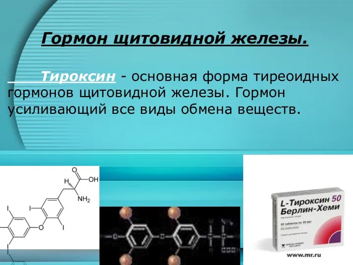 Гормон щитовидной железы. Тироксин - основная форма тиреоидных гормонов щитовидной