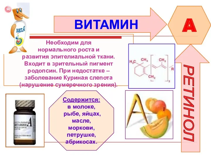 ВИТАМИН A РЕТИНОЛ Необходим для нормального роста и развития эпителиальной