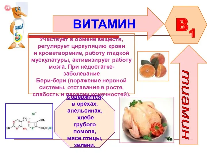 ВИТАМИН B1 Участвует в обмене веществ, регулирует циркуляцию крови и