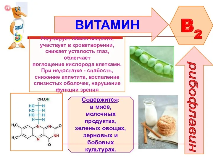 ВИТАМИН B2 рибофлавин Регулирует обмен веществ, участвует в кроветворении, снижает