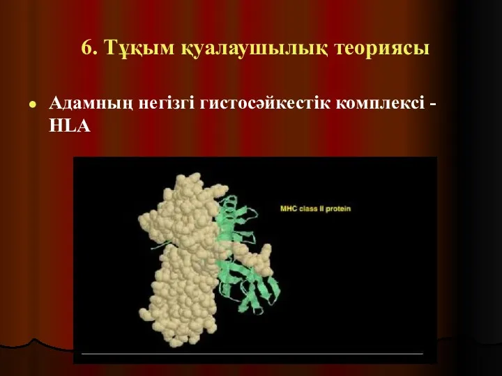 6. Тұқым қуалаушылық теориясы Адамның негізгі гистосәйкестік комплексі - HLA