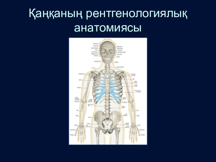Қаңқаның рентгенологиялық анатомиясы