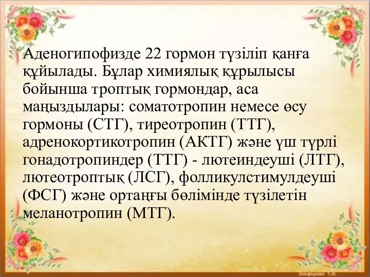 Аденогипофизде 22 гормон түзіліп қанға құйылады. Бұлар химиялық құрылысы бойынша