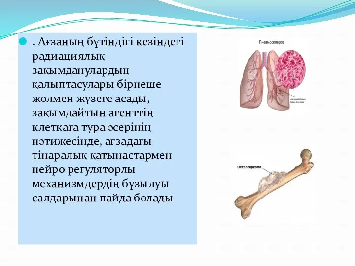 . Ағзаның бүтіндігі кезіндегі радиациялық зақымданулардың қалыптасулары бірнеше жолмен жүзеге