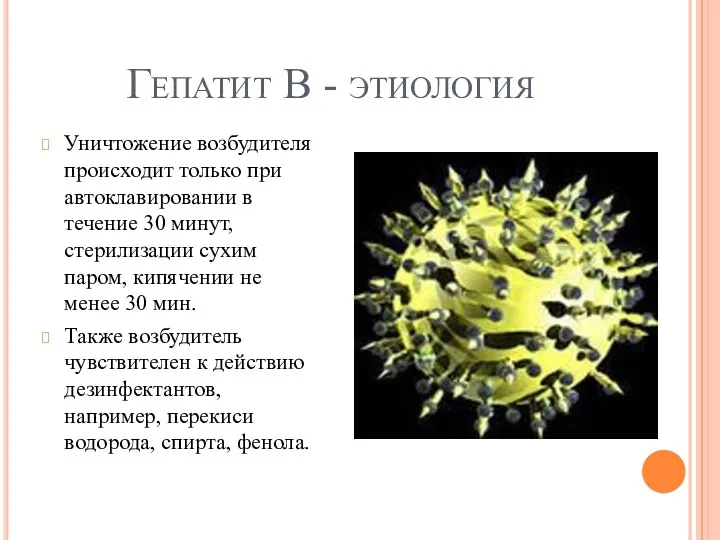 Гепатит В - этиология Уничтожение возбудителя происходит только при автоклавировании