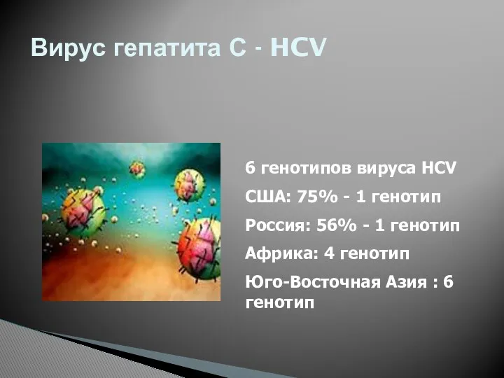 6 генотипов вируса HCV США: 75% - 1 генотип Россия: