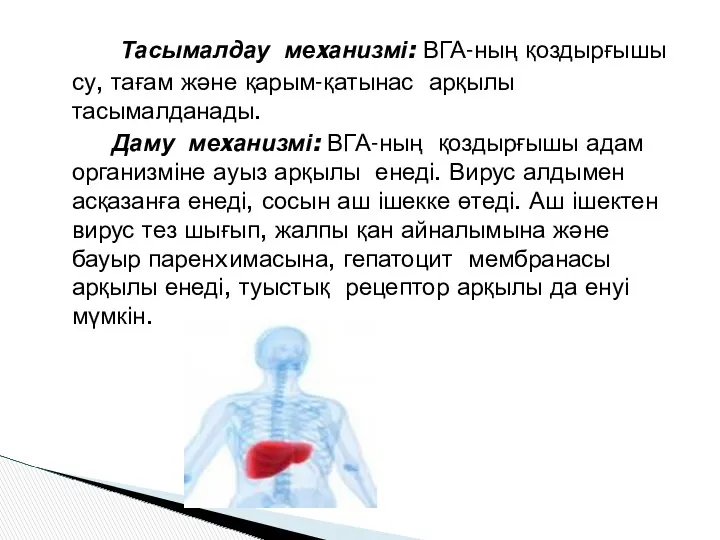 Тасымалдау меxанизмі: ВГА-ның қоздырғышы су, тағам және қарым-қатынас арқылы тасымалданады.