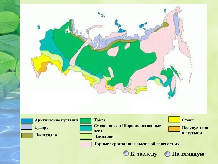 Арктические пустыни Тундра Лесотундра Тайга Смешанные и Широколиственные леса Лесостепи