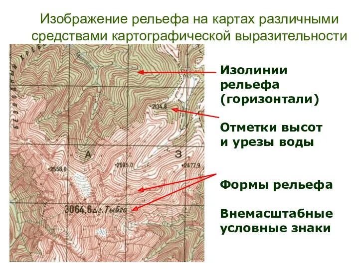 Изображение рельефа на картах различными средствами картографической выразительности Изолинии рельефа