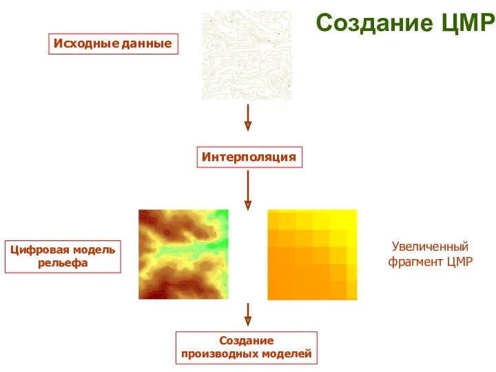 Создание ЦМР Исходные данные Интерполяция Цифровая модель рельефа Создание производных моделей Увеличенный фрагмент ЦМР