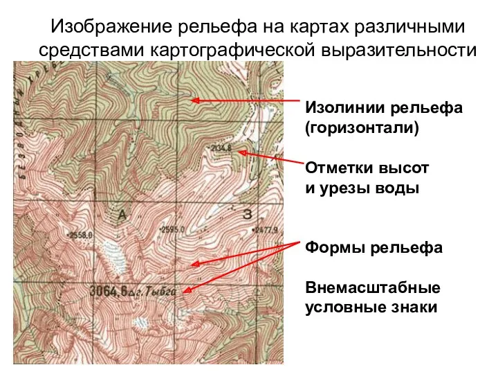 Изображение рельефа на картах различными средствами картографической выразительности Изолинии рельефа