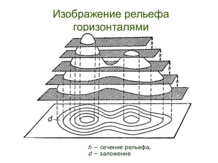 Изображение рельефа горизонталями h − сечение рельефа, d − заложение