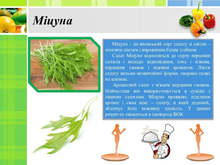 Міцуна Міцуна – це японський сорт салату зі світло –