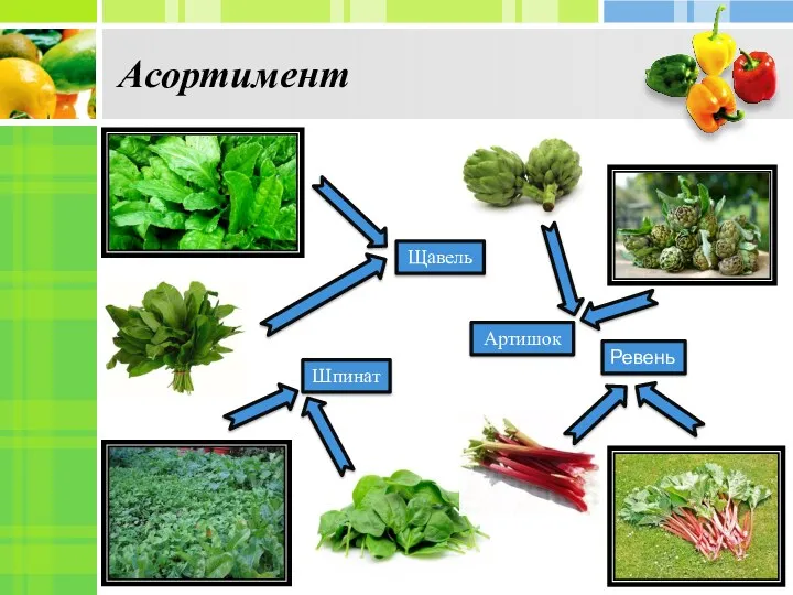 Асортимент Щавель Артишок Шпинат Ревень