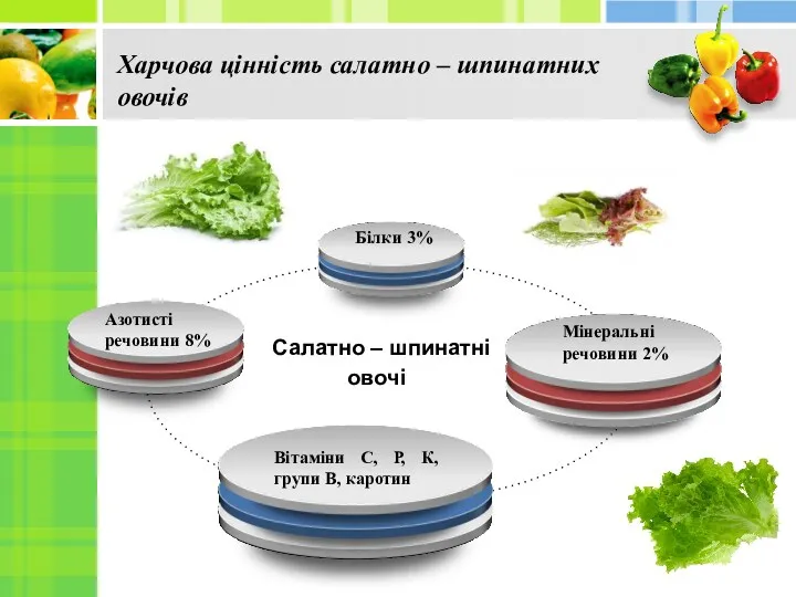 Харчова цінність салатно – шпинатних овочів Салатно – шпинатні овочі