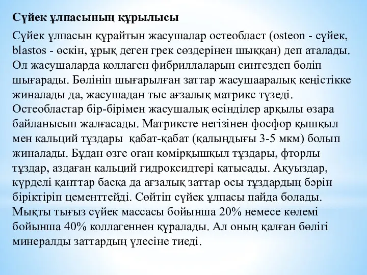 Сүйек ұлпасының құрылысы Сүйек ұлпасын құрайтын жасушалар остеобласт (osteon -