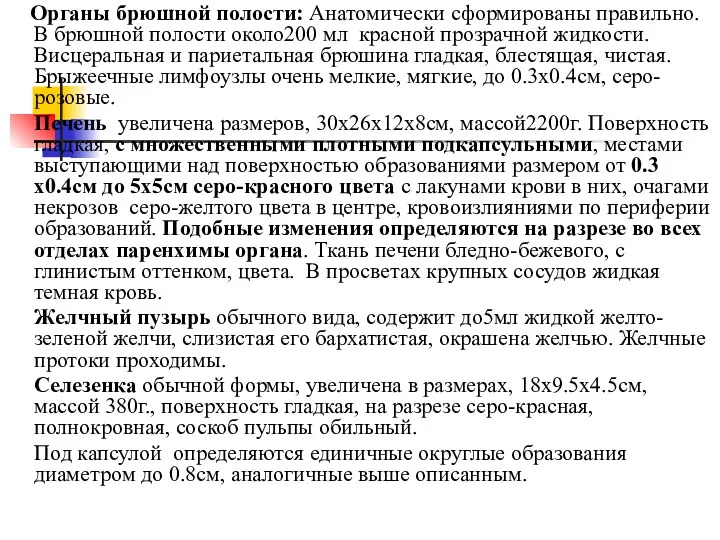 Органы брюшной полости: Анатомически сформированы правильно. В брюшной полости около200