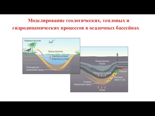 Моделирование геологических, тепловых и гидродинамических процессов в осадочных бассейнах