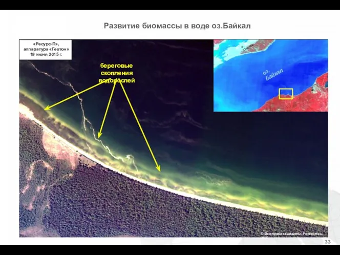 береговые скопления водорослей «Ресурс-П», аппаратура «Геотон» 19 июня 2015 г.