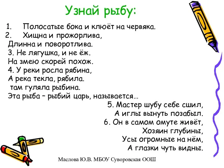 Узнай рыбу: Полосатые бока и клюёт на червяка. Хищна и прожорлива, Длинна и