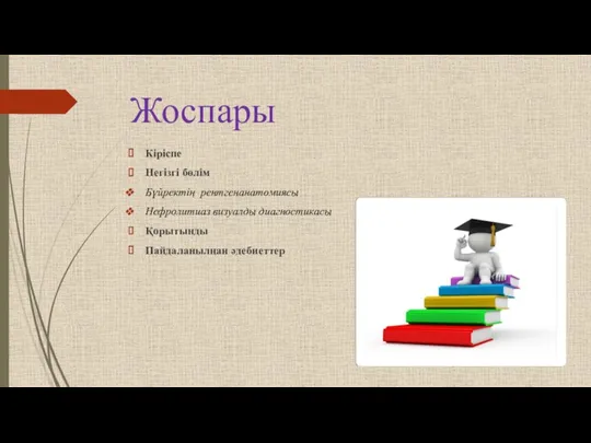 Жоспары Кіріспе Негізгі бөлім Бүйректің рентгенанатомиясы Нефролитиаз визуалды диагностикасы Қорытынды Пайдаланылңан əдебиеттер