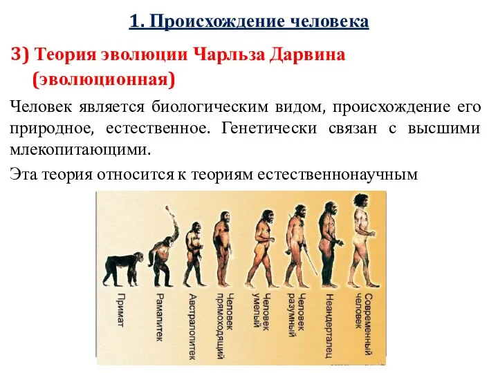 1. Происхождение человека 3) Теория эволюции Чарльза Дарвина (эволюционная) Человек
