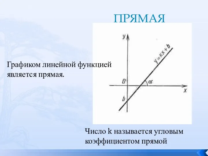 ПРЯМАЯ Графиком линейной функцией является прямая. Число k называется угловым коэффициентом прямой