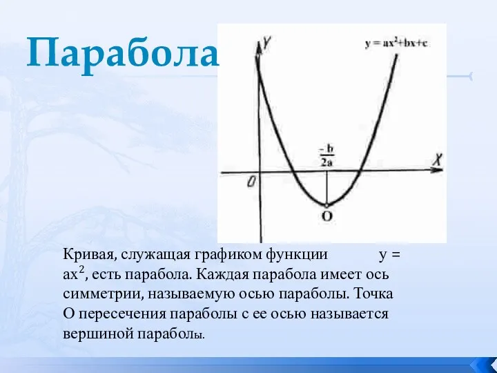 Кривая, служащая графиком функции у = ах2, есть парабола. Каждая