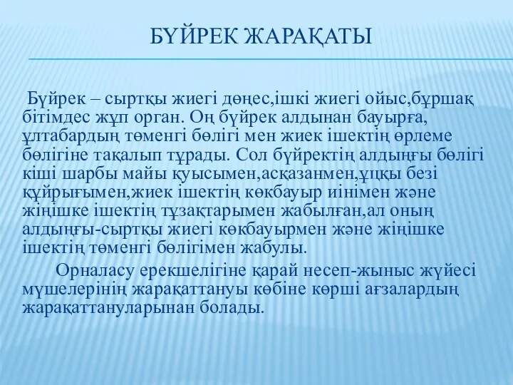 БҮЙРЕК ЖАРАҚАТЫ Бүйрек – сыртқы жиегі дөңес,ішкі жиегі ойыс,бұршақ бітімдес