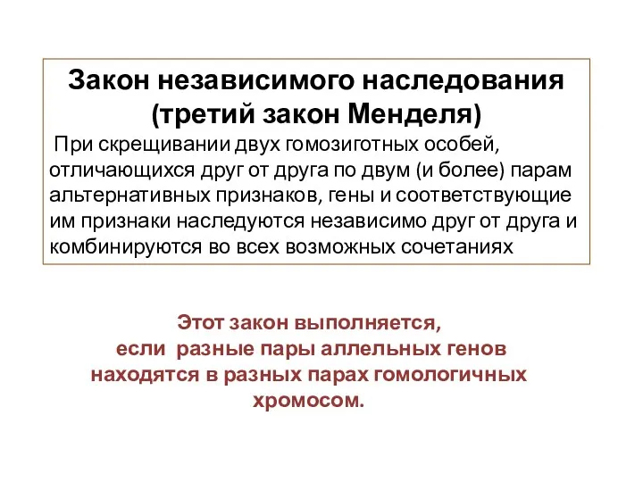 Закон независимого наследования (третий закон Менделя) При скрещивании двух гомозиготных