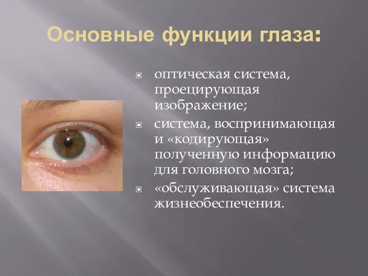 Основные функции глаза: оптическая система, проецирующая изображение; система, воспринимающая и