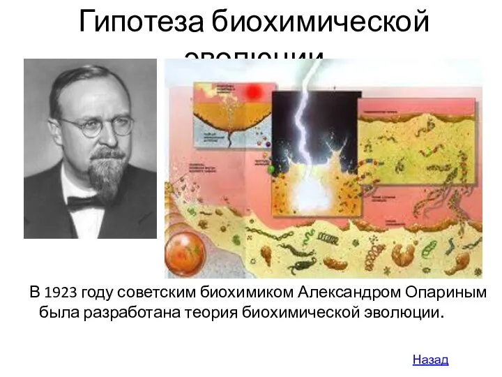 Гипотеза биохимической эволюции В 1923 году советским биохимиком Александром Опариным была разработана теория биохимической эволюции. Назад