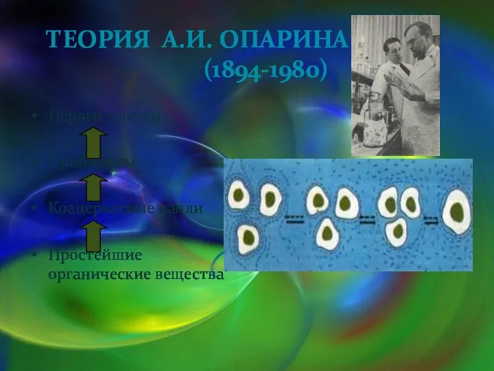 ТЕОРИЯ А.И. ОПАРИНА (1894-1980) Первые клетки Пробионты Коацерватные капли Простейшие органические вещества