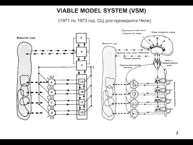 VIABLE MODEL SYSTEM (VSM) (1971 по 1973 год. СЦ для президента Чили)