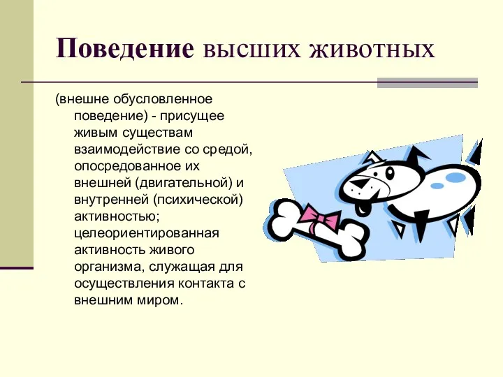 Поведение высших животных (внешне обусловленное поведение) - присущее живым существам взаимодействие со средой,