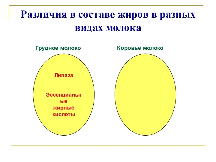 Различия в составе жиров в разных видах молока Грудное молоко Коровье молоко Липаза Эссенциальные жирные кислоты