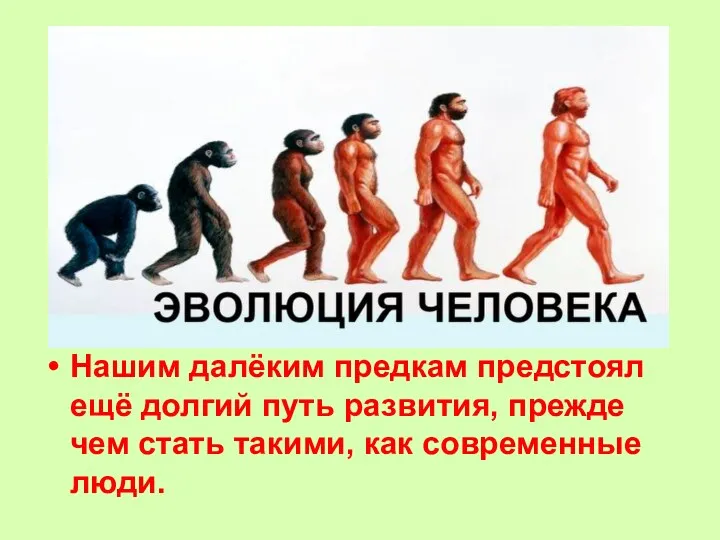 Нашим далёким предкам предстоял ещё долгий путь развития, прежде чем стать такими, как современные люди.