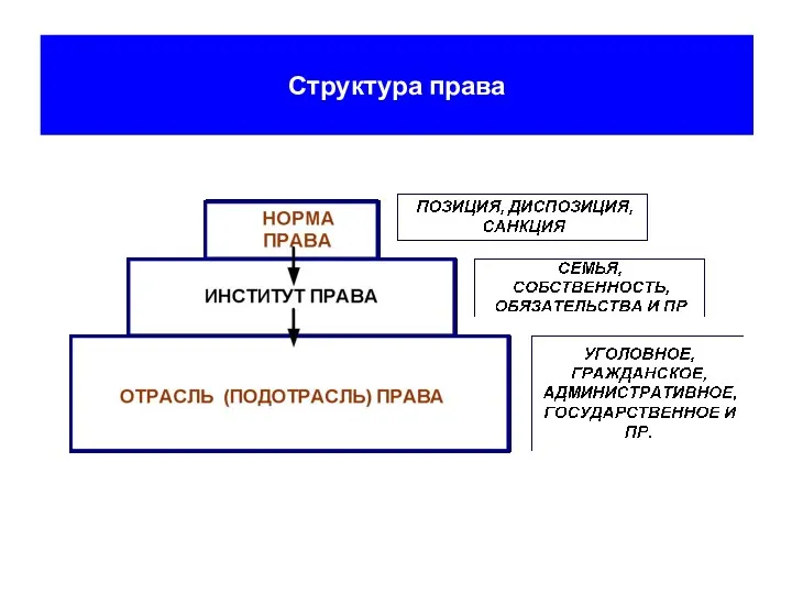 Структура права