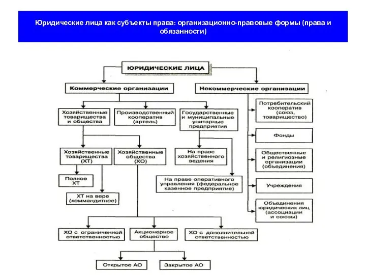 Юридические лица как субъекты права: организационно-правовые формы (права и обязанности)